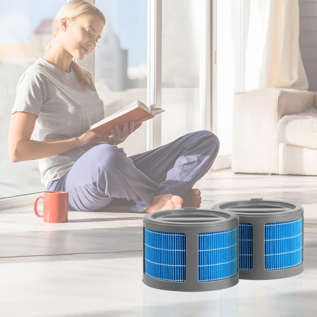 Csere szűrő gőz-párásítóhoz, 2 darab, 10L/2.64G modell