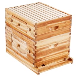 Bee Hive 20 keretes méhkaptár kezdőkészlet, méhviasszal bevont fenyőfa, 1 mély + 1 közepes méhdoboz Langstroth méhkaptár készlet, átlátszó akril ablakok alapokkal kezdő profi méhészeknek - miniatúra 4