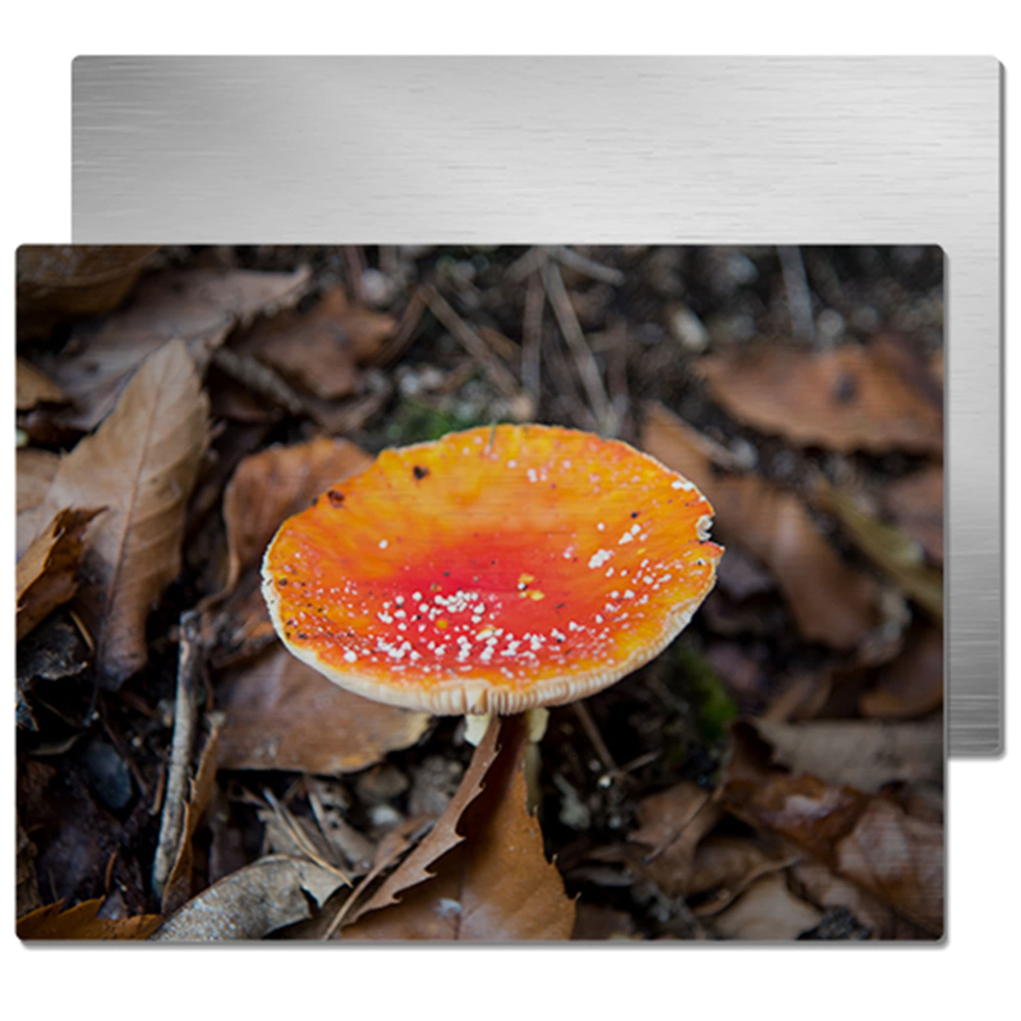 ChromaLuxe alumínium fotópanel szálcsiszolt ezüst színűre, 150 x 200 x 1,15 mm, lekerekített sarkok, 10 db/karton